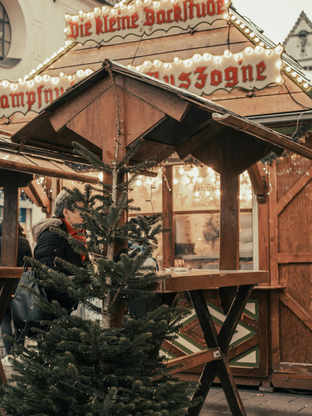 De Londres a Budapeste: veja feiras de Natal para visitar na Europa