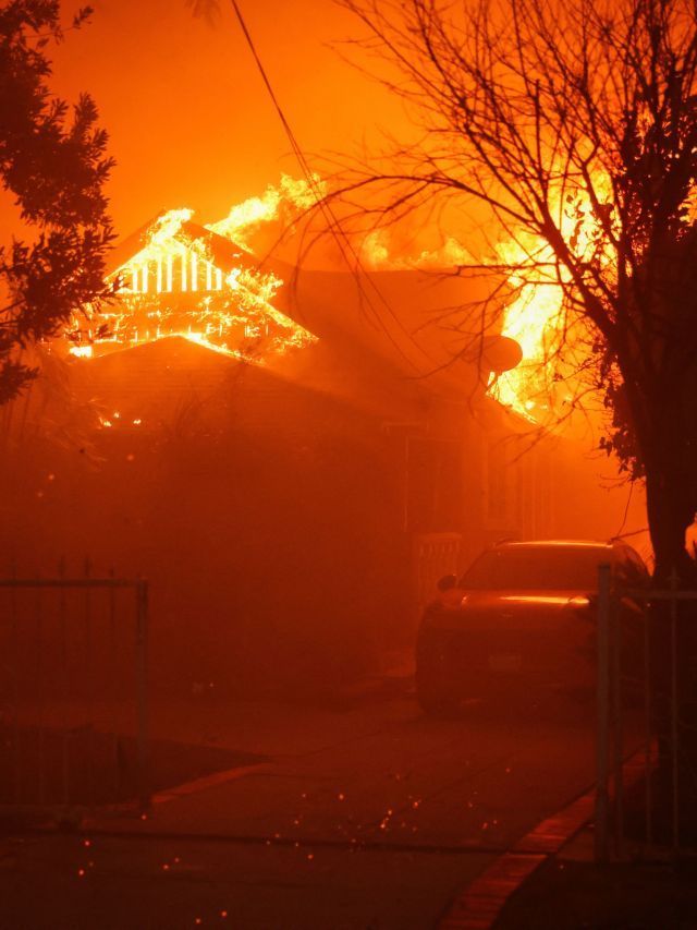 Incêndios florestais trazem riscos à saúde mental, dizem especialistas