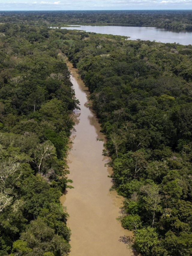 De desmatamento a aquecimento: como o Brasil impacta o clima global